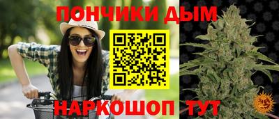 гашик Кандалакша