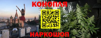 спиды Канаш